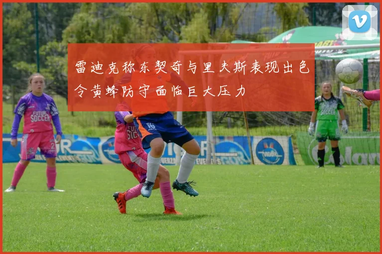 雷迪克称东契奇与里夫斯表现出色令黄蜂防守面临巨大压力